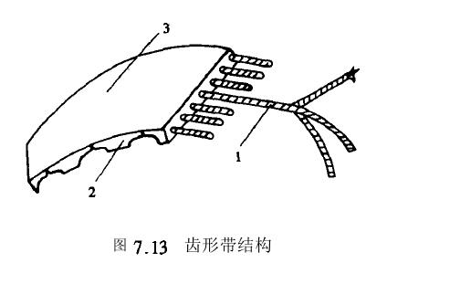 齿形带传动特征